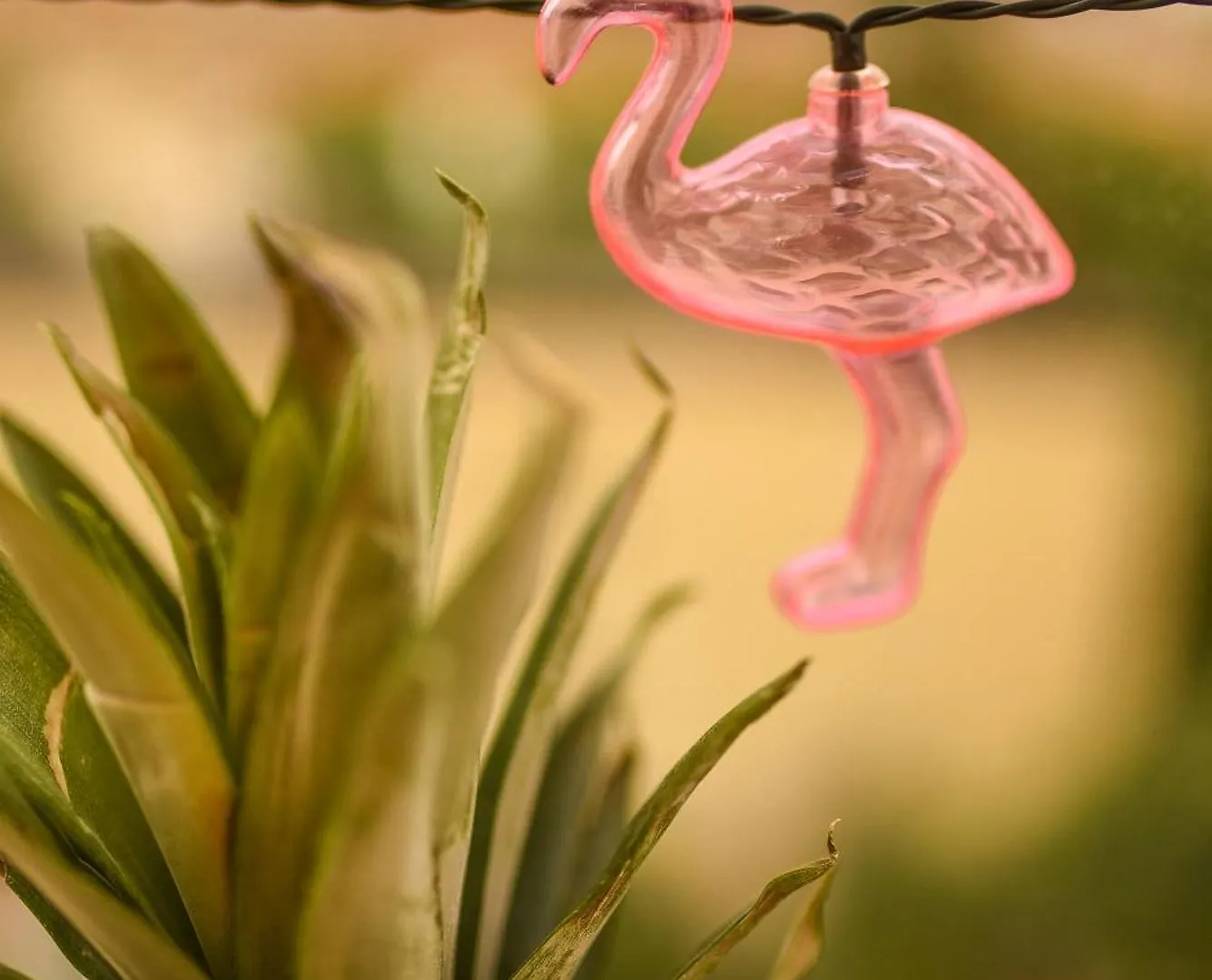 Flamingo Rainbow Daire Bükreş